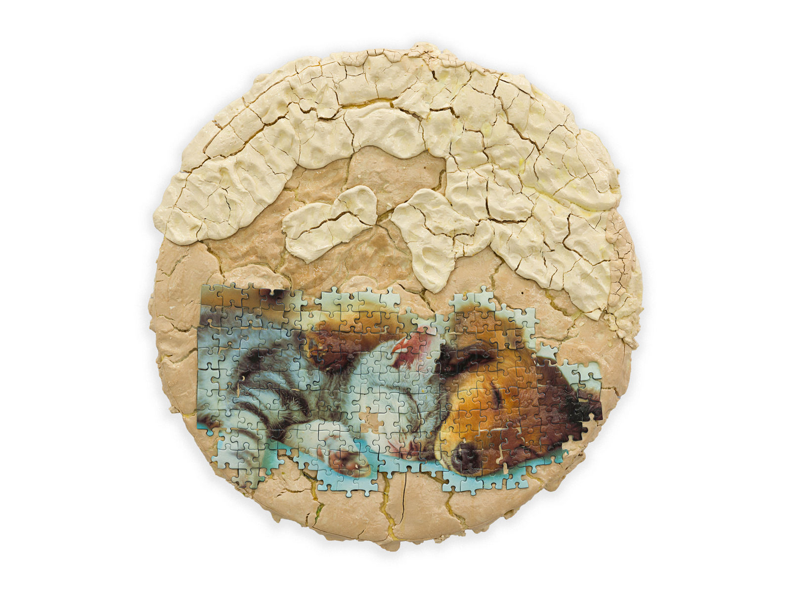 Elif Erkan, Animal Lovers, 2023