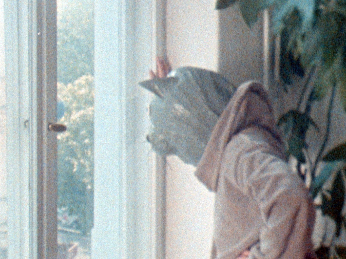 Gernot Wieland, Thievery and Songs, 2016