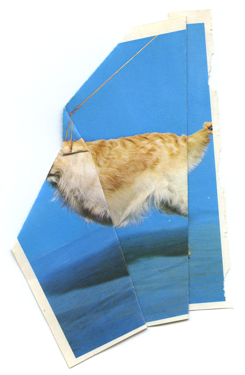 Ruth van Beek, The Levitators, 2013