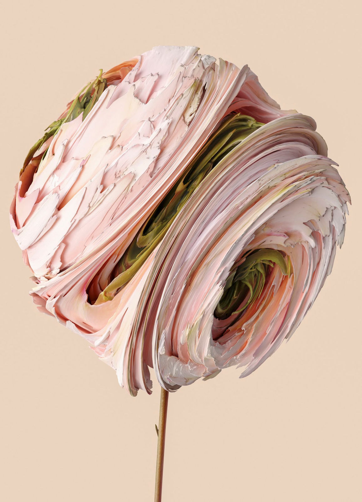 Vincent Fournier, Flora Incognita; Scara incognita, 2022