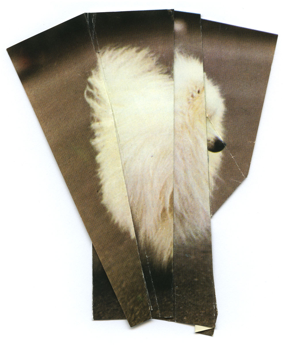 Ruth van Beek, The Levitators, 2013