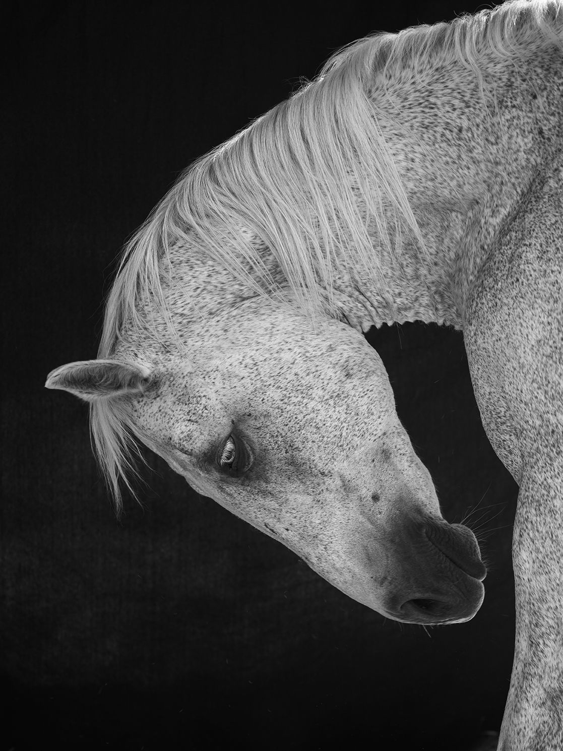 Anja Niemi, Lightness in Solid Black, 2021