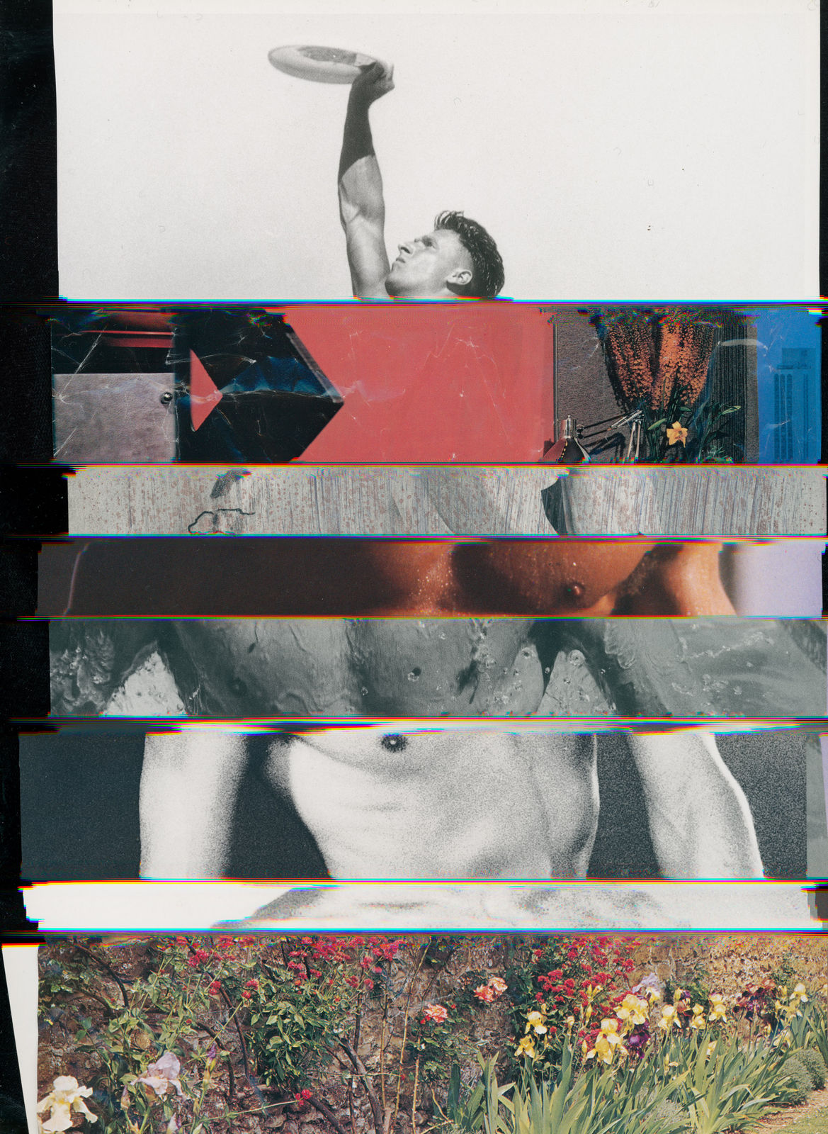 Nico Krijno, Lockdown Collage #76, 2020