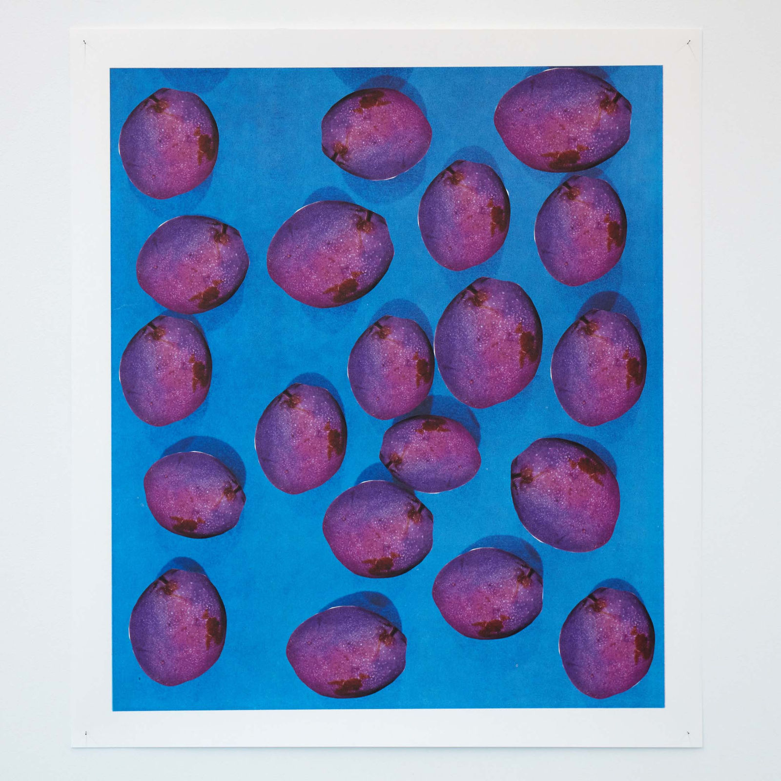 Ruth van Beek, Everbearing Varieties, 2020