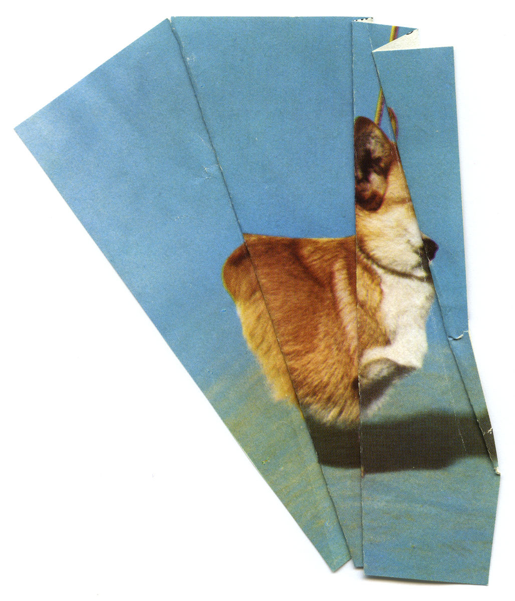 Ruth van Beek, The Levitators, 2013