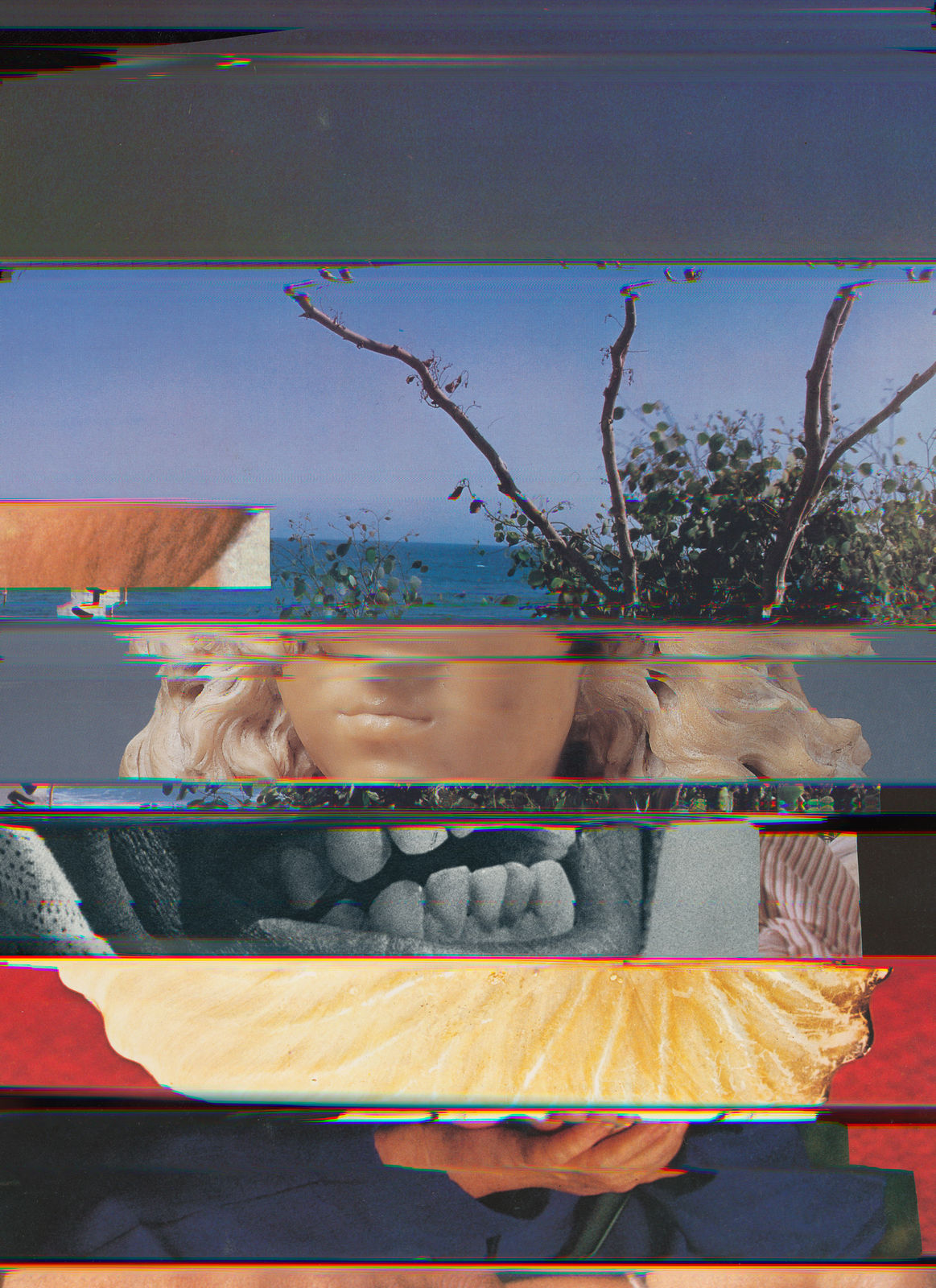 Nico Krijno, Lockdown Collage #50, 2020