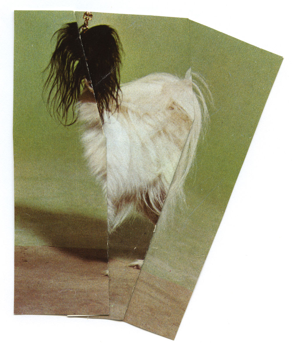 Ruth van Beek, The Levitators, 2013