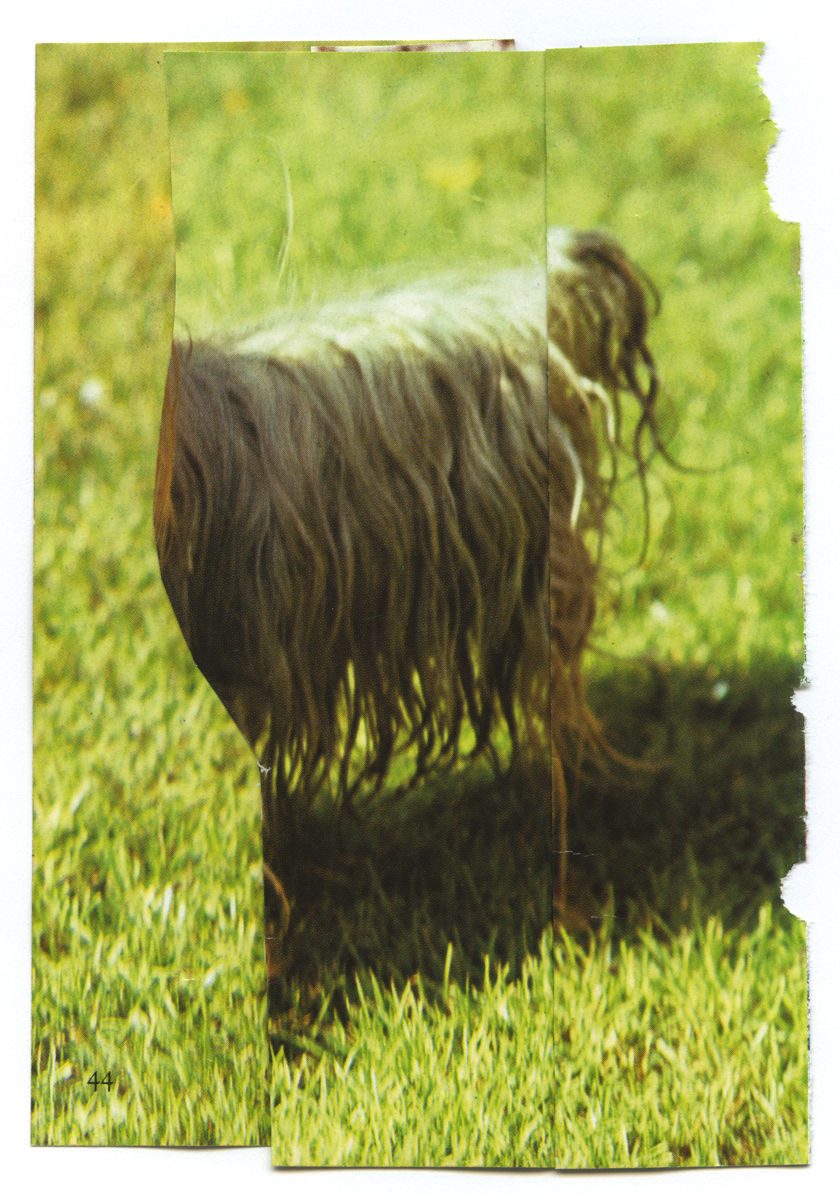 Ruth van Beek, The Levitators, 2013