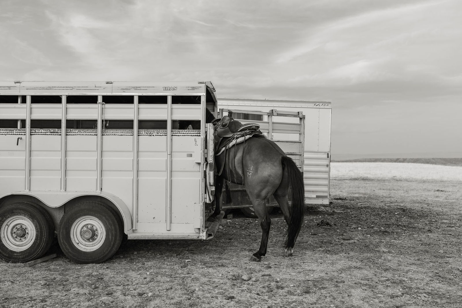 Anja Niemi, A Naturalist Guide to Magic #05, 2024