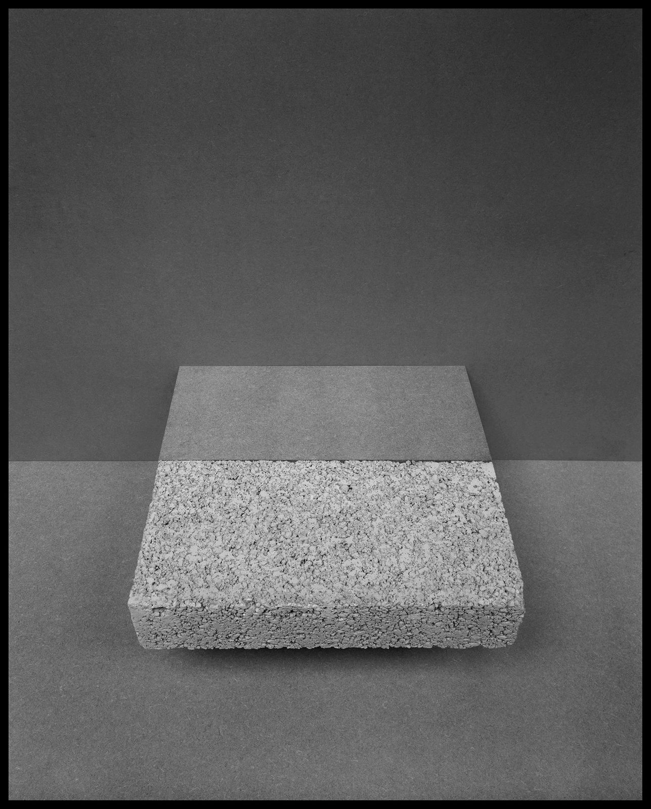 Darren Harvey-Regan, Metalepsis (fig. 12), 2013