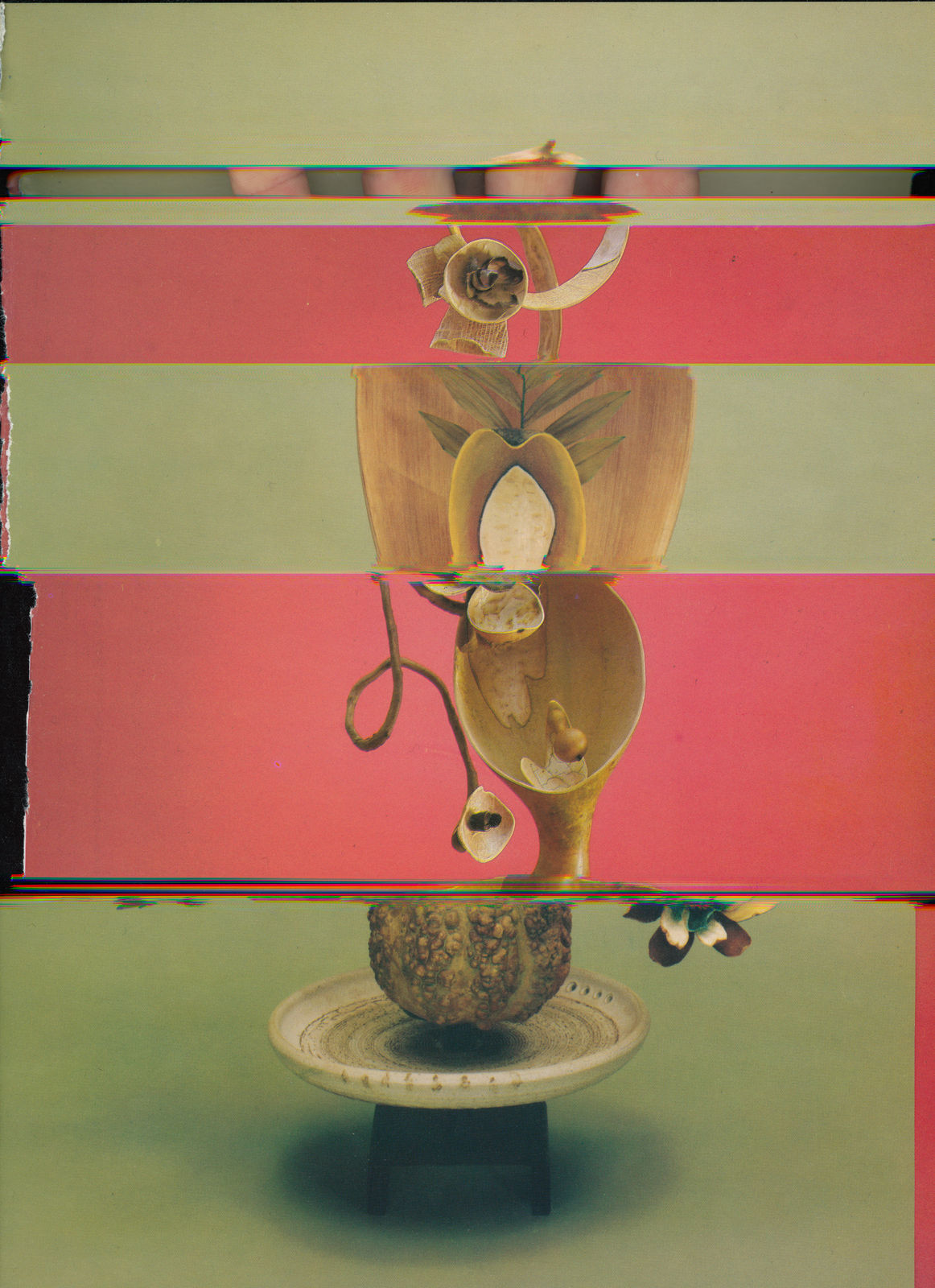 Nico Krijno, Lockdown Collage #24, 2020