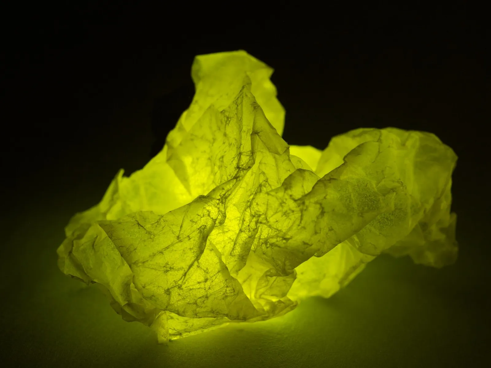 Koen Hauser, Ephemera, # 9, 2011