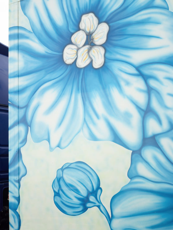 Scheltens & Abbenes, Trailer #6: Hybiscus, 2016