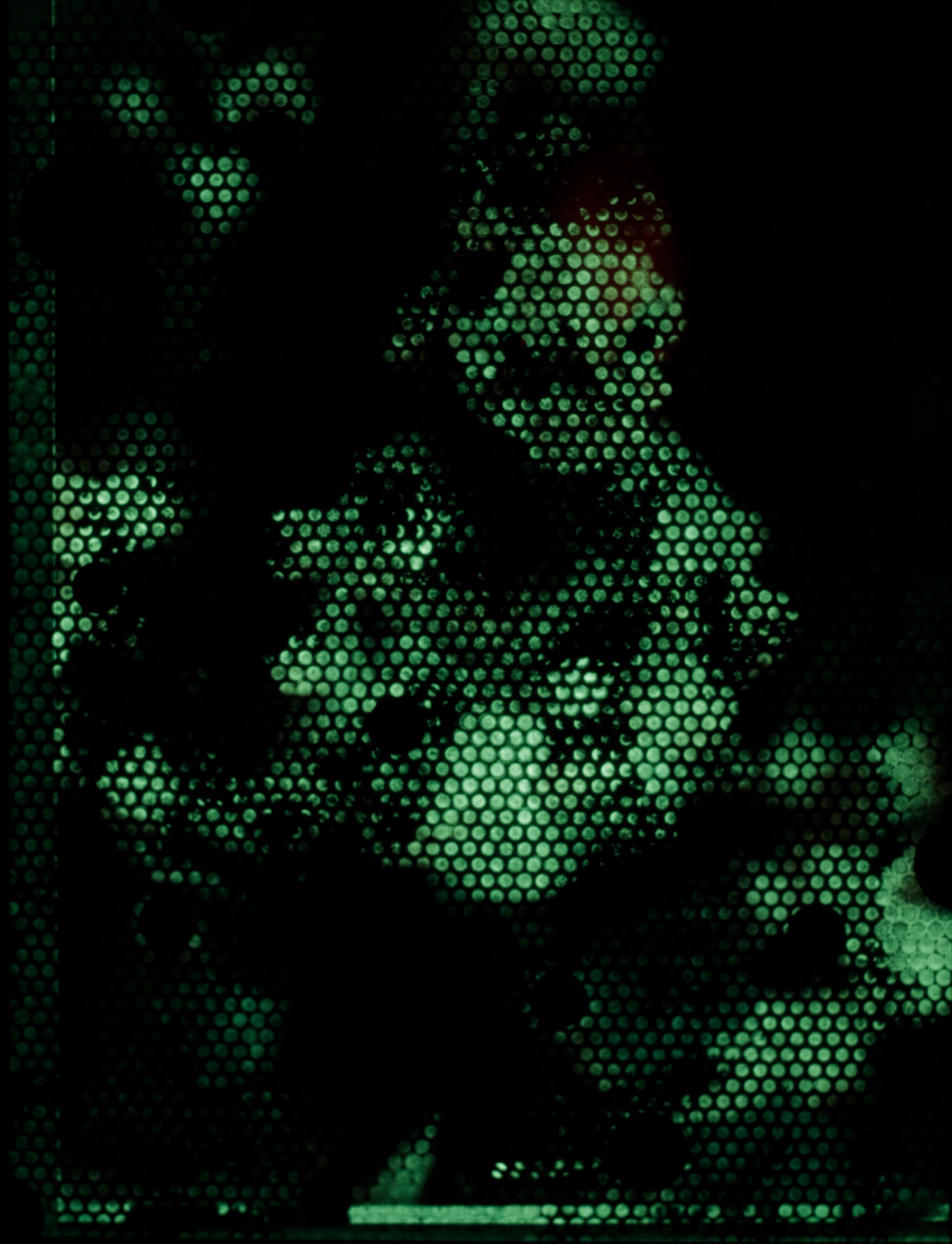 Martina Sauter, Der Physiologus: Hippocampus pygmy, 2021