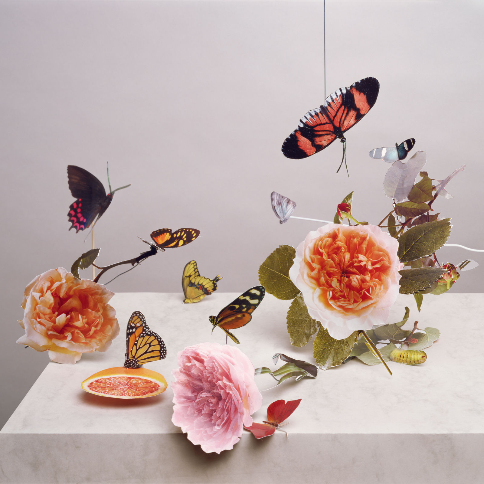 Scheltens & Abbenes, Artis Magistra, 2006