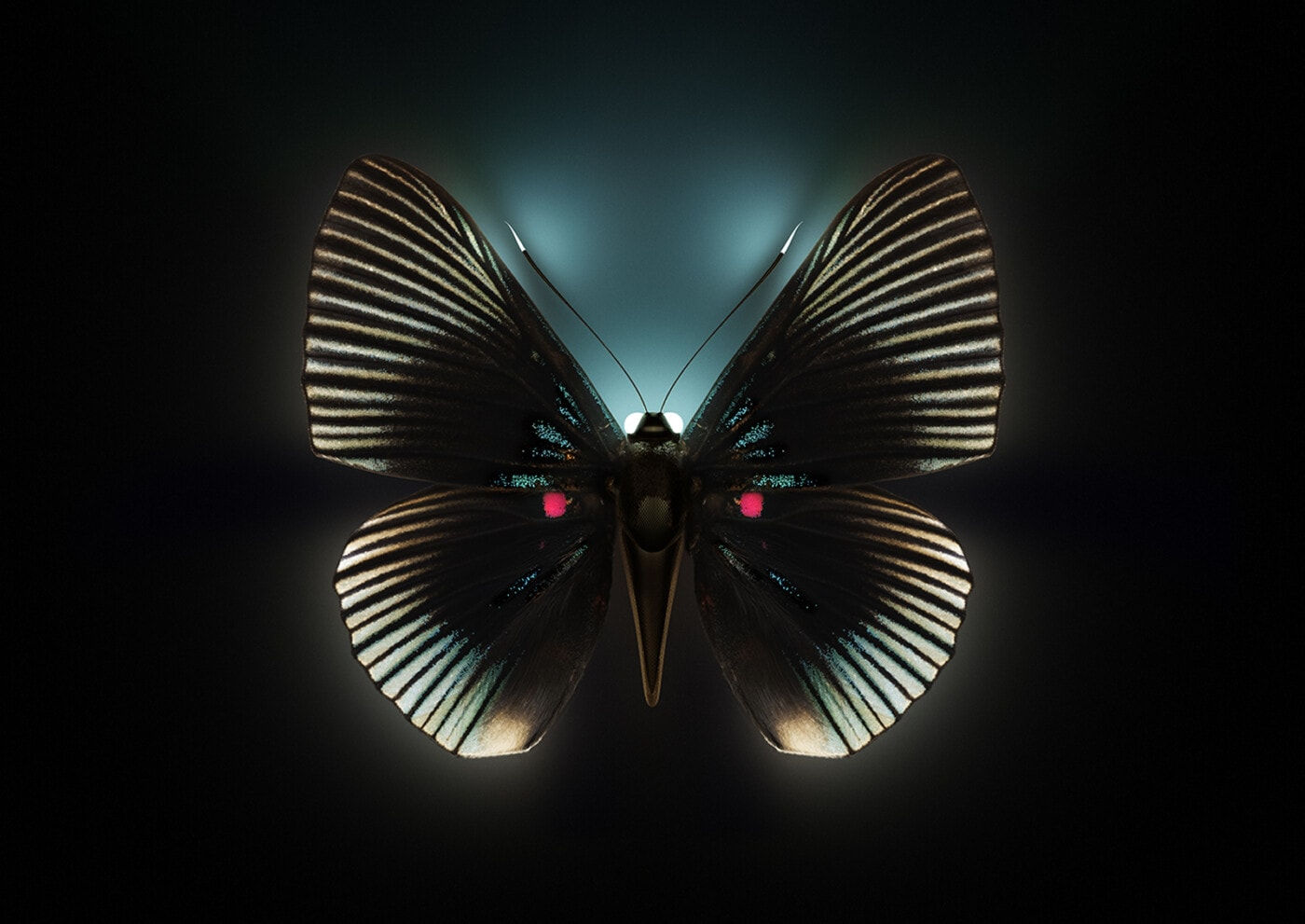 Vincent Fournier, Luminous Carrier Butterfly [Luminaria papilionem], 2023