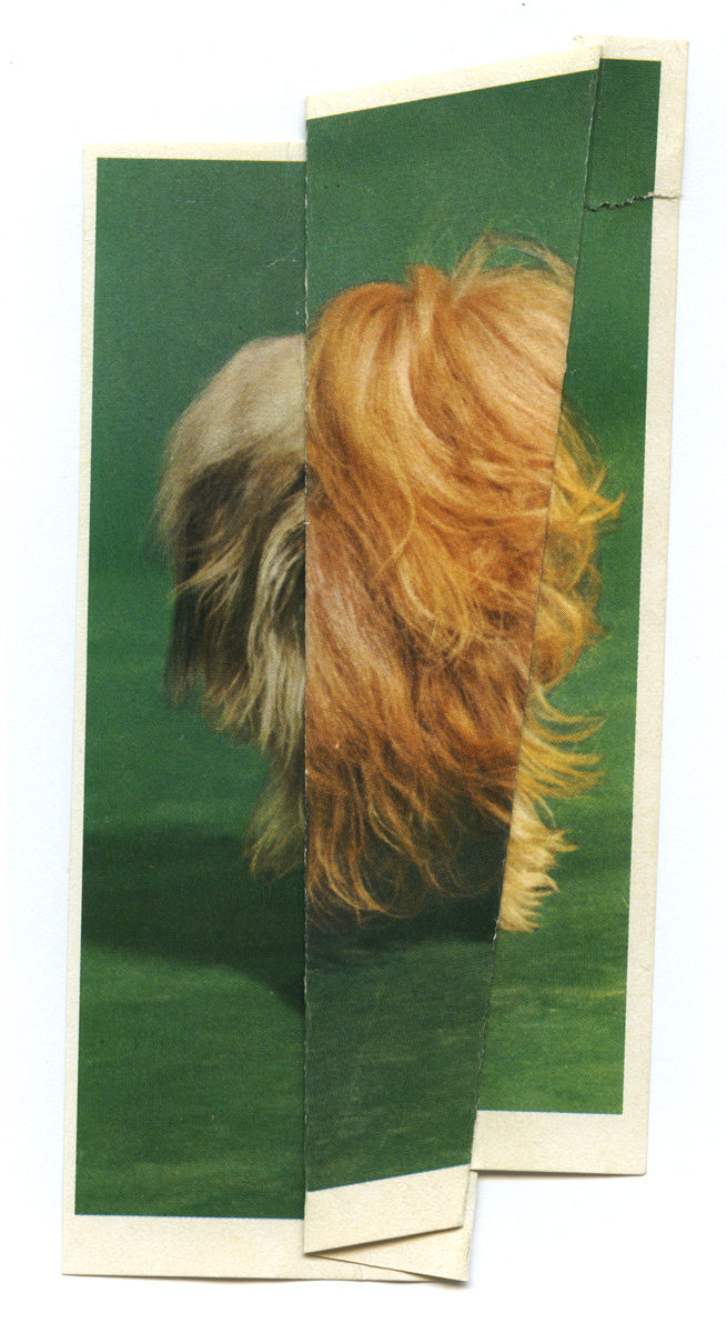 Ruth van Beek, The Levitators, 2013