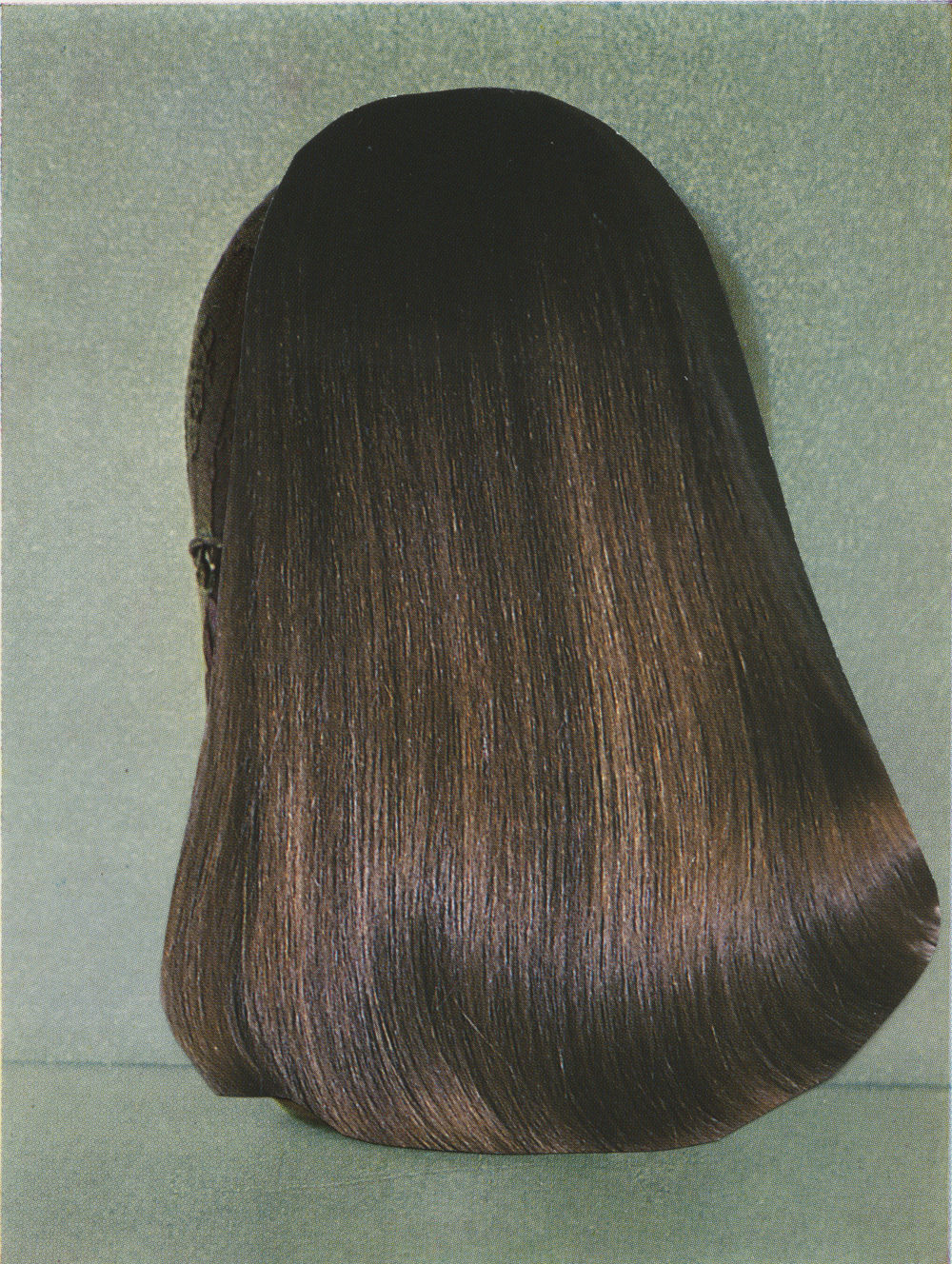 Ruth van Beek, Untitled (hair 2), 2016