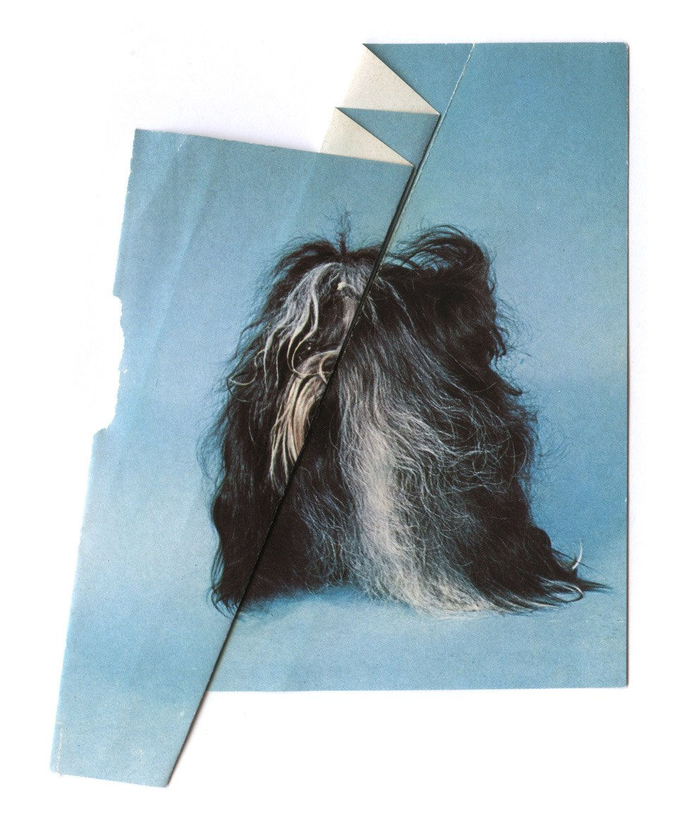 Ruth van Beek, The Levitators, 2013