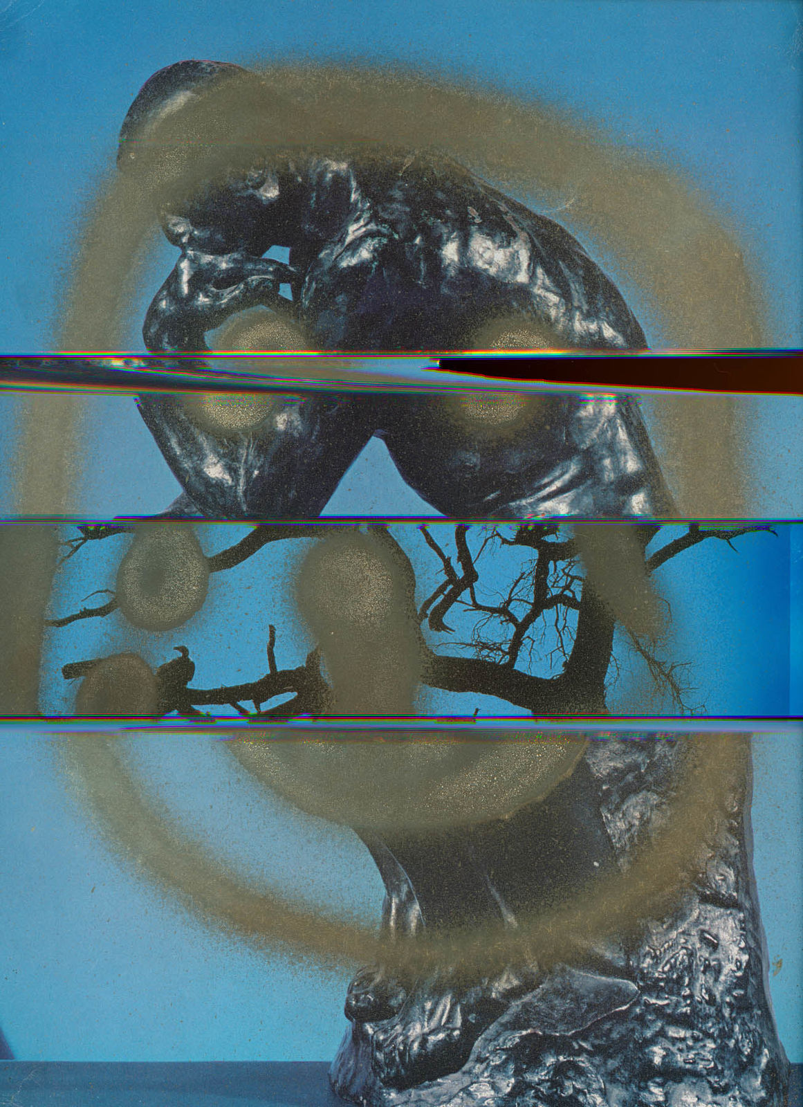 Nico Krijno, The Constellation #039, 2022