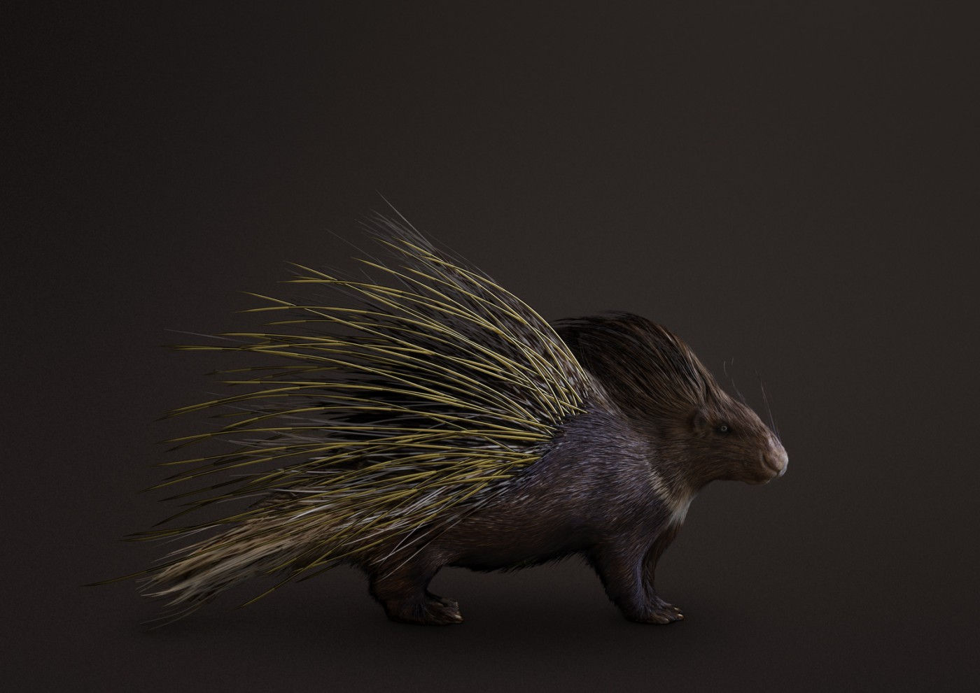 Vincent Fournier, Golden Porcupine [Hystricidae gemmae] Luxury pet with jewelry settings, 2018