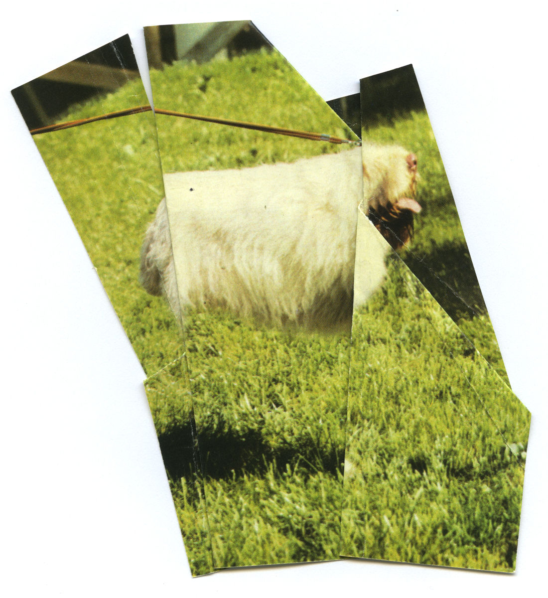 Ruth van Beek, The Levitators, 2013