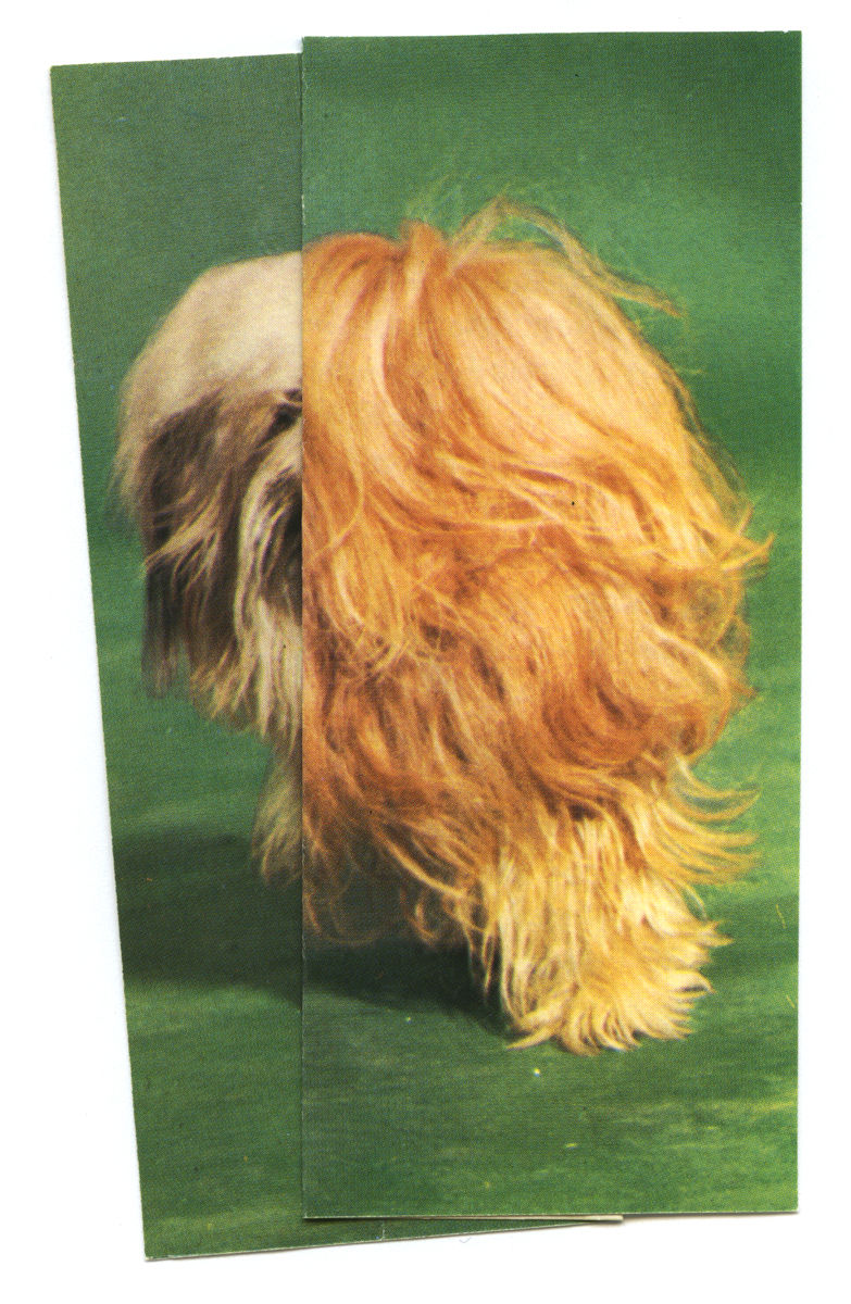 Ruth van Beek, The Levitators, 2013