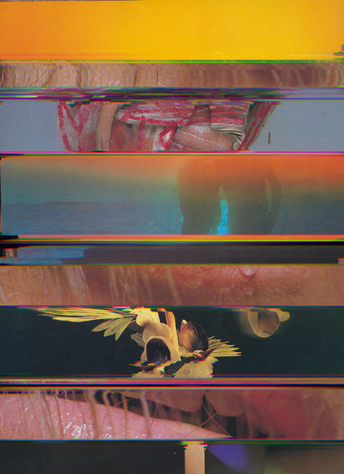 Nico Krijno, Lockdown Collage #64, 2020