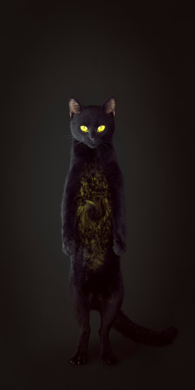 Vincent Fournier, Chat Trou Noir (Felis cavum nigrum) Ouvre le portail de l’espace-temps, 2022