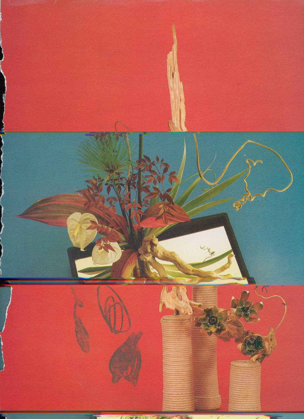 Nico Krijno, Lockdown Collage #25, 2020