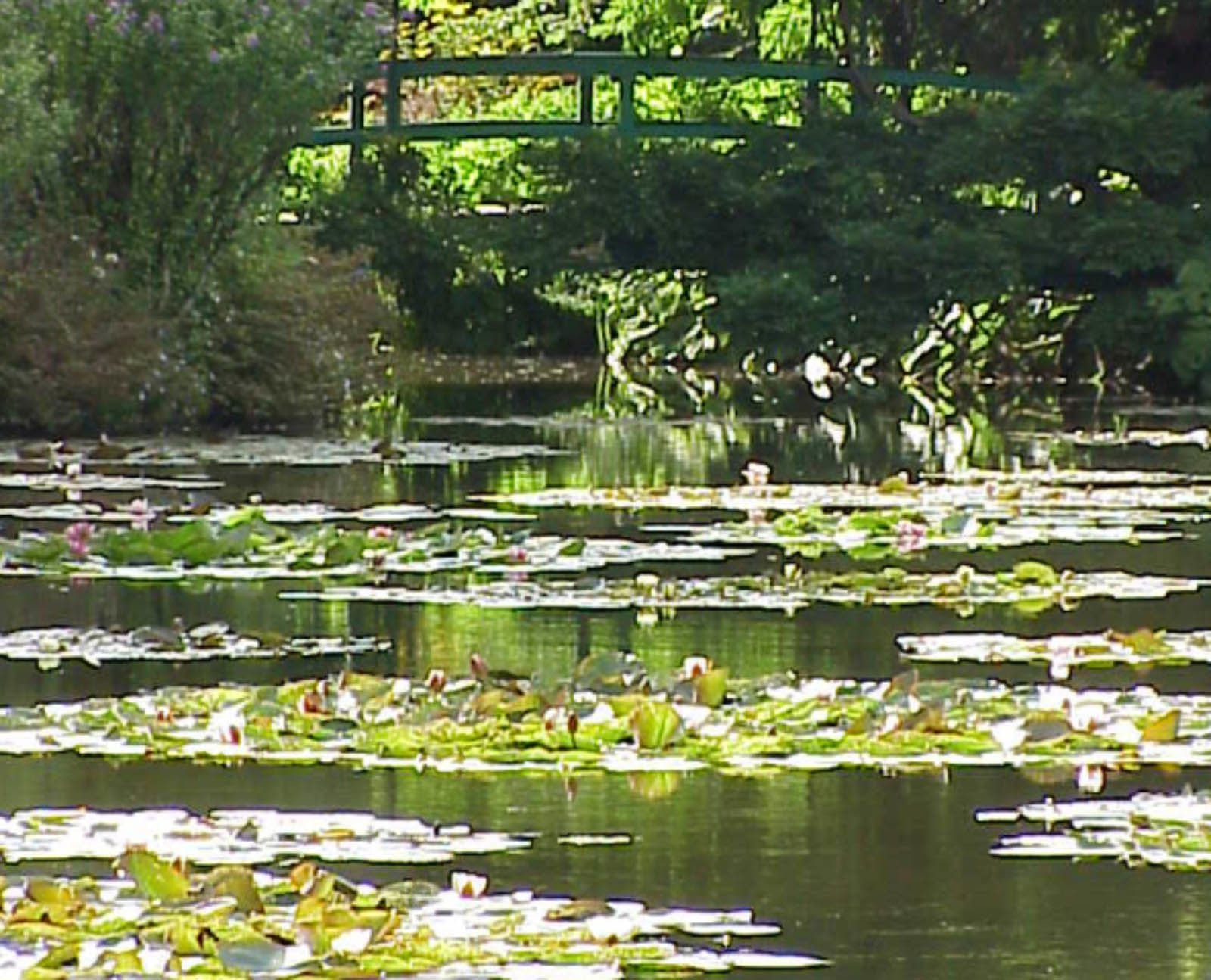 Thomas Kuijpers, Disk 080, Bridge, 2024