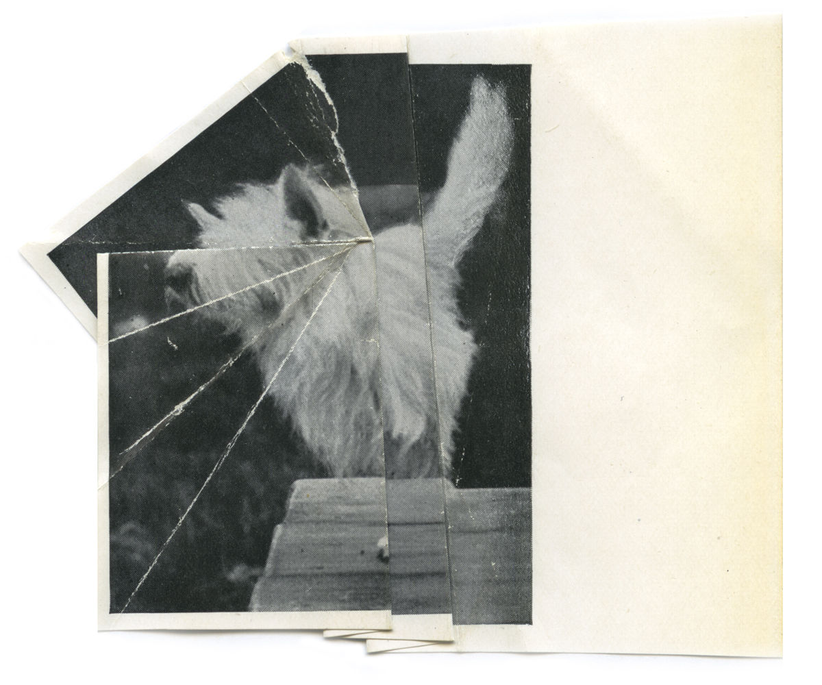 Ruth van Beek, The Levitators, 2013