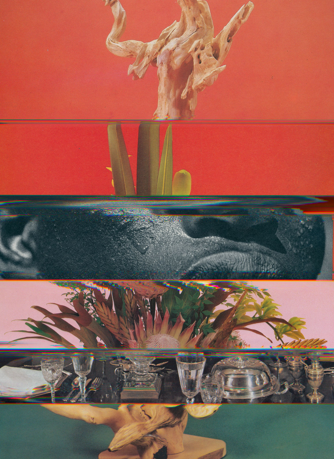 Nico Krijno, Lockdown Collage #73, 2020