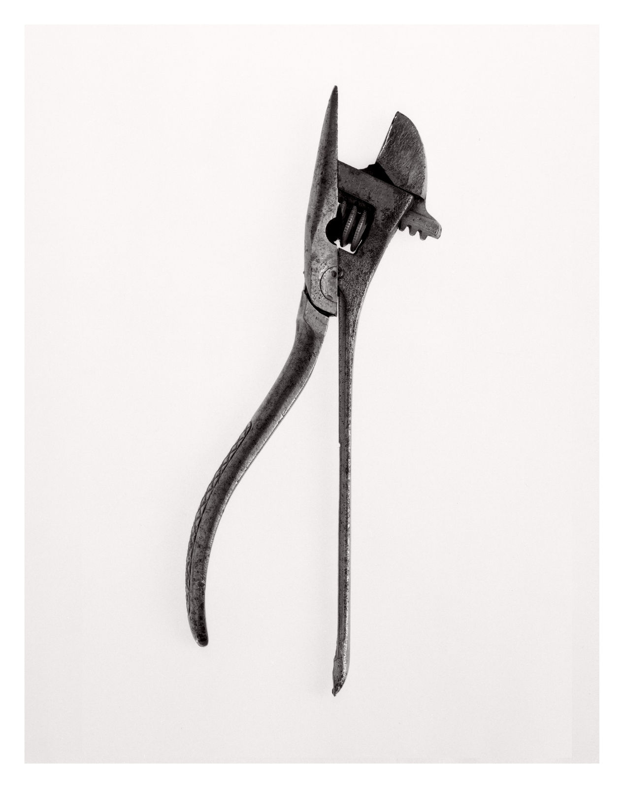 Darren Harvey-Regan, Beauties of the Common Tool, Rephrased II, 2013