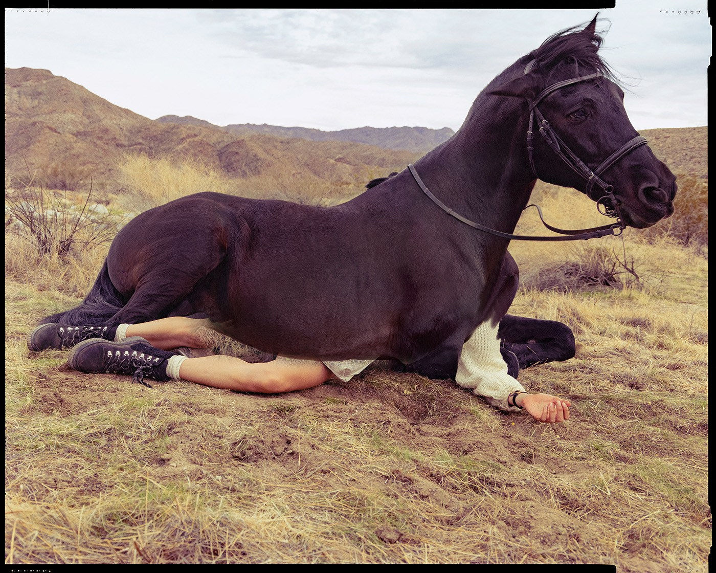 Inez & Vinoodh, Reality, 2022