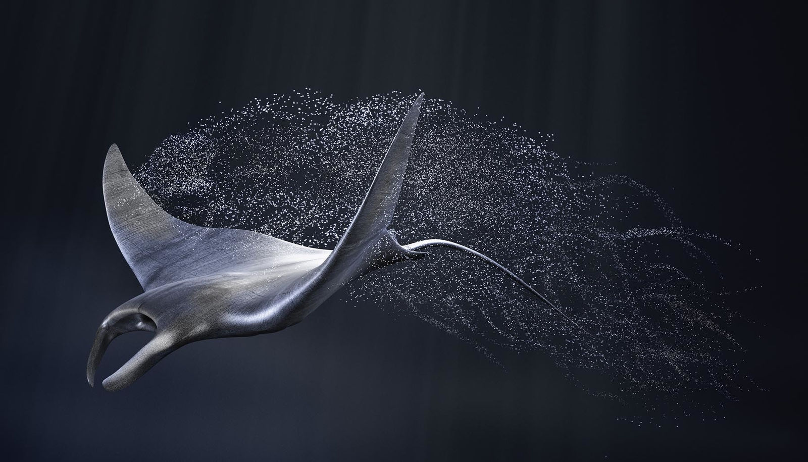 Vincent Fournier, Manta Furtive (Manyta birostris) Crée des leurres acoustiques, 2022