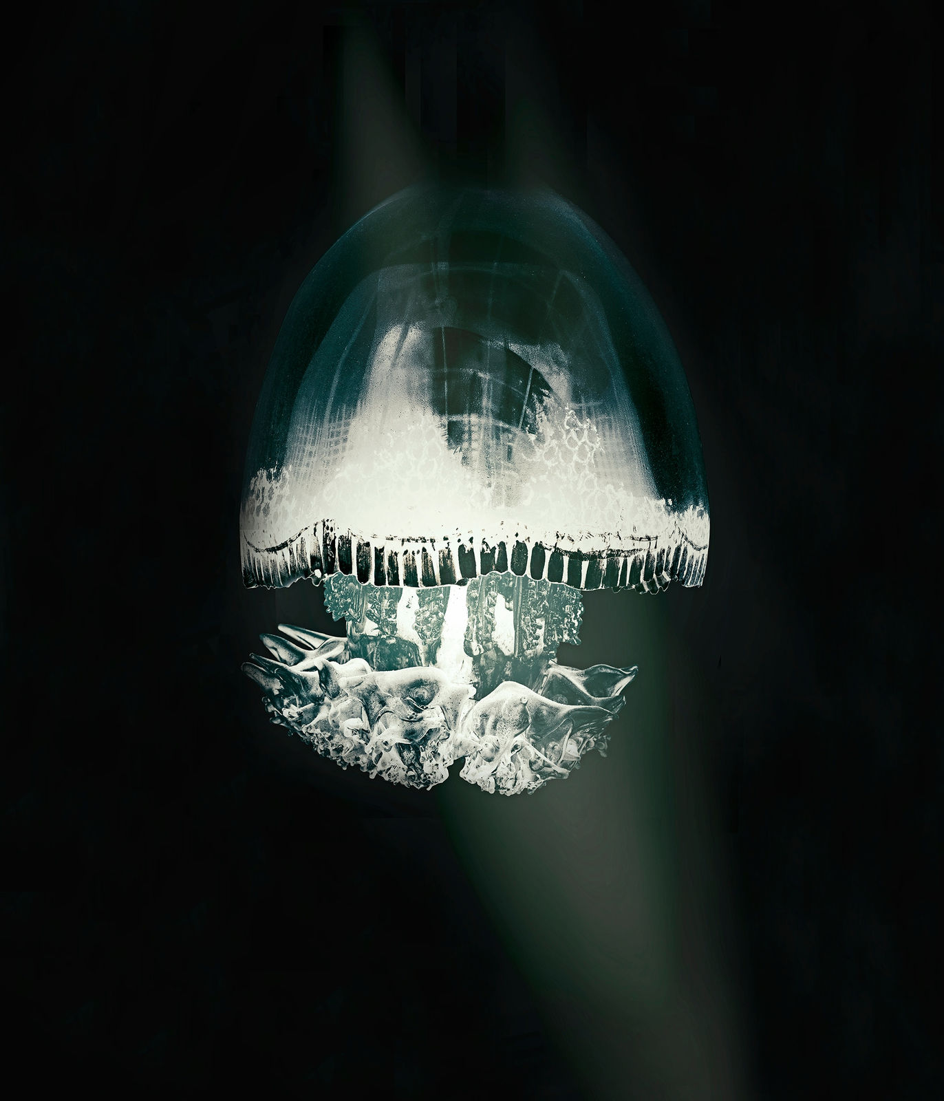 Vincent Fournier, Ethereal Jellyfish [Fantauma cerebrum] Entity able to travel between dimensions, 2015