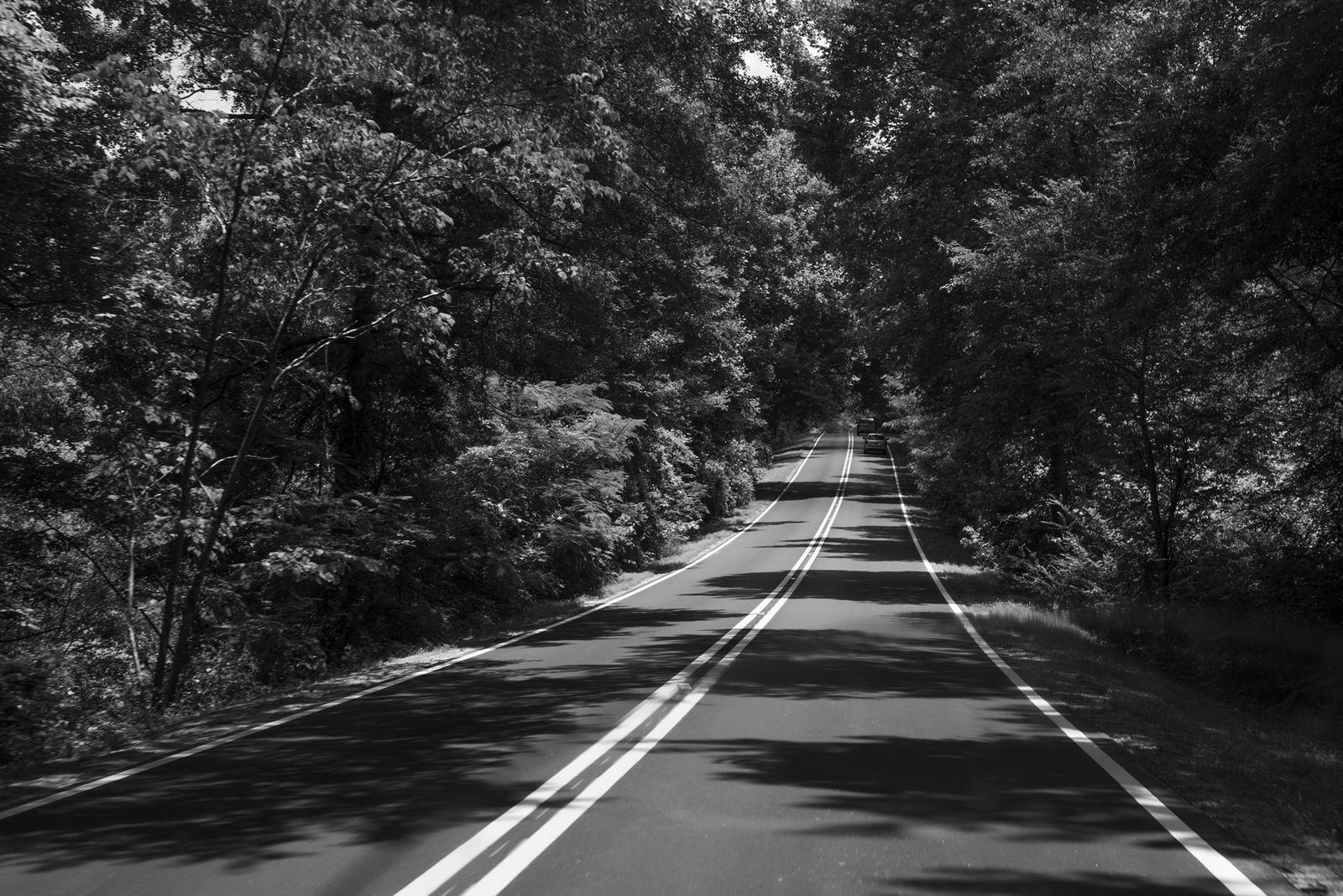 Robin de Puy, If this is true... / Tuskegee (Alabama) , 2015