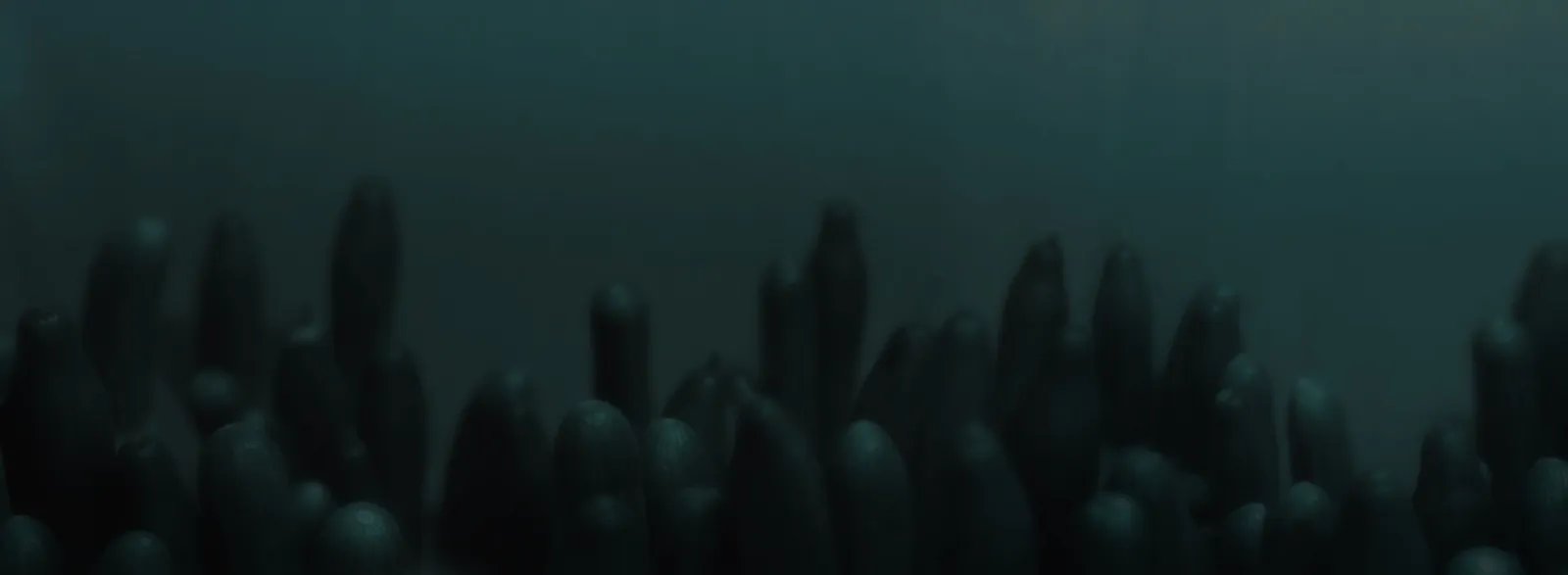 Koen Hauser, Oceanica, No. 2, 2007