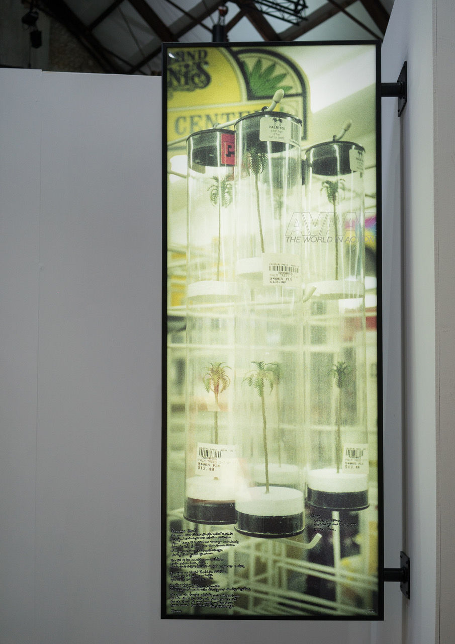 Thomas Kuijpers, Tubed Trees, 2020