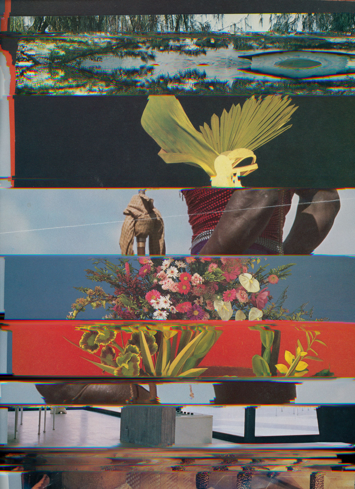 Nico Krijno, Lockdown Collage #42, 2020