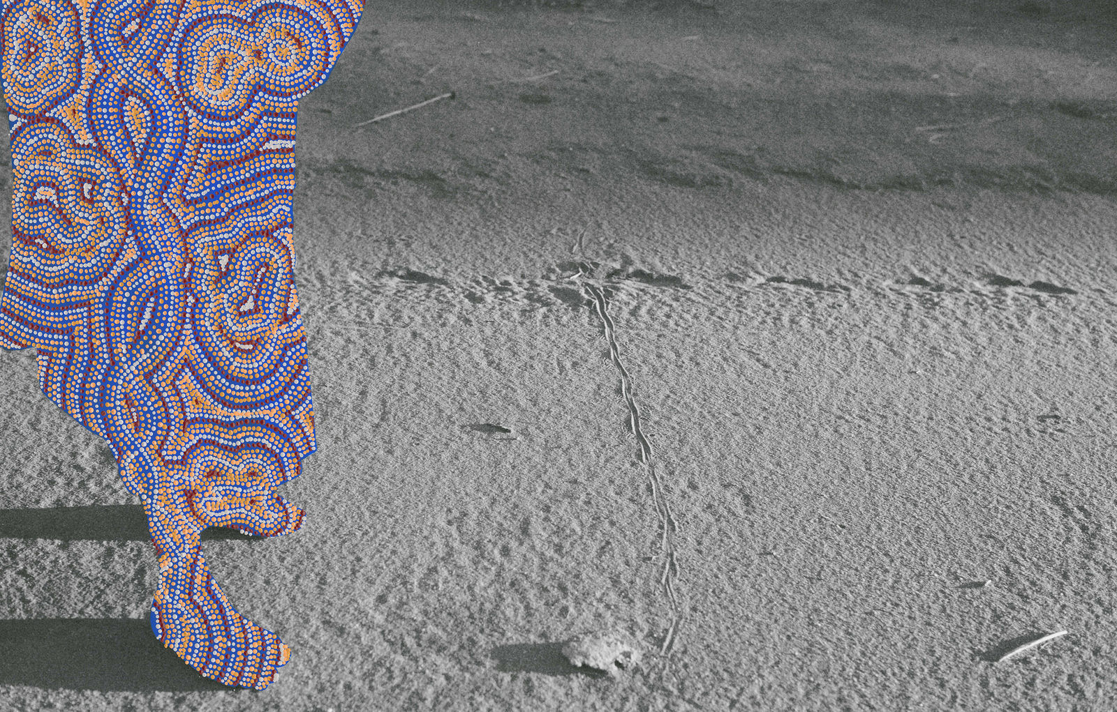 Patrick Waterhouse, He Went That Way / Restricted with Angelina Nampijnpa Tasman, 2014 - 2018