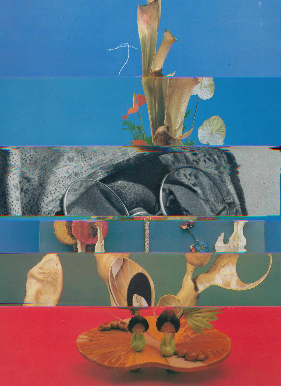 Nico Krijno, Lockdown Collage #70, 2020