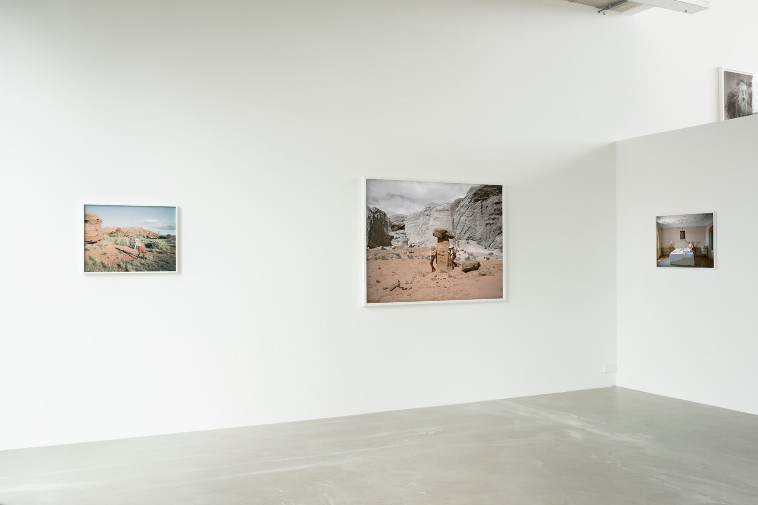 Anja Niemi, The Fall, 2018