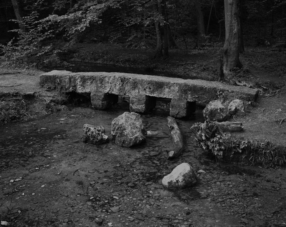 Tereza Zelenkova, Bridges, 2014