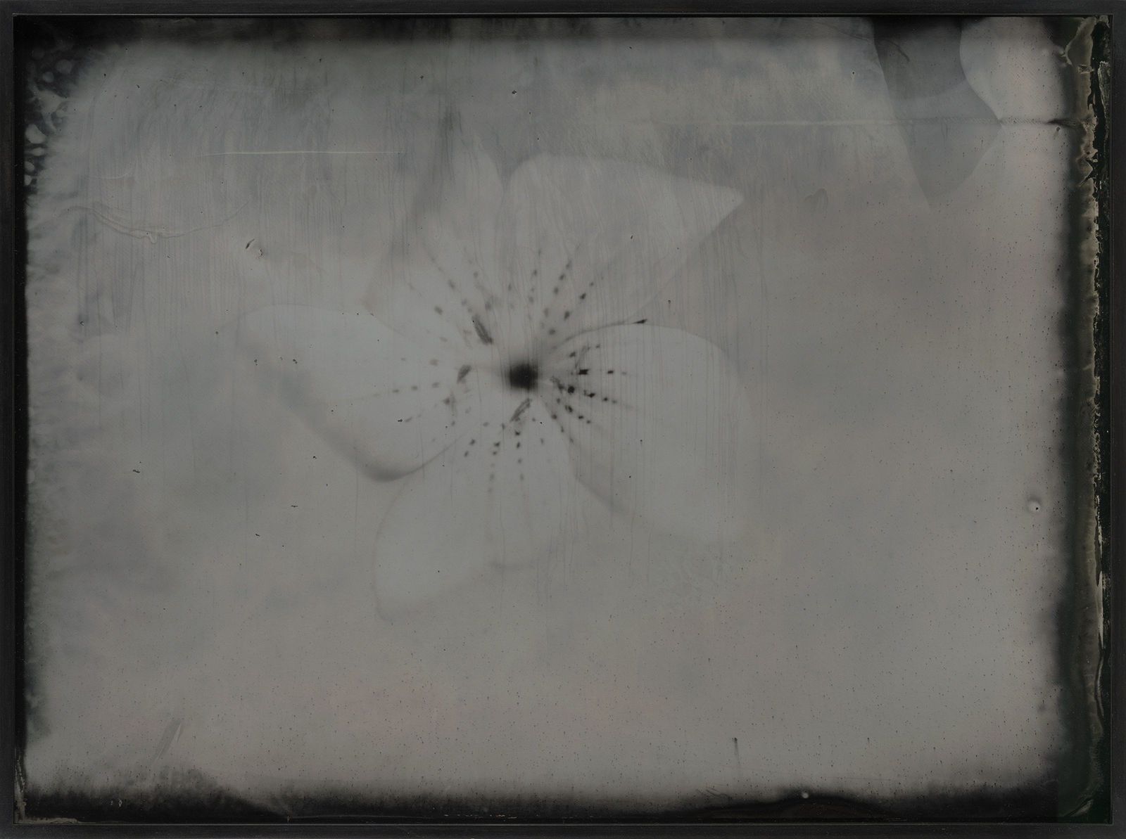 Lara Porzak, “Pinwheel”, 2024