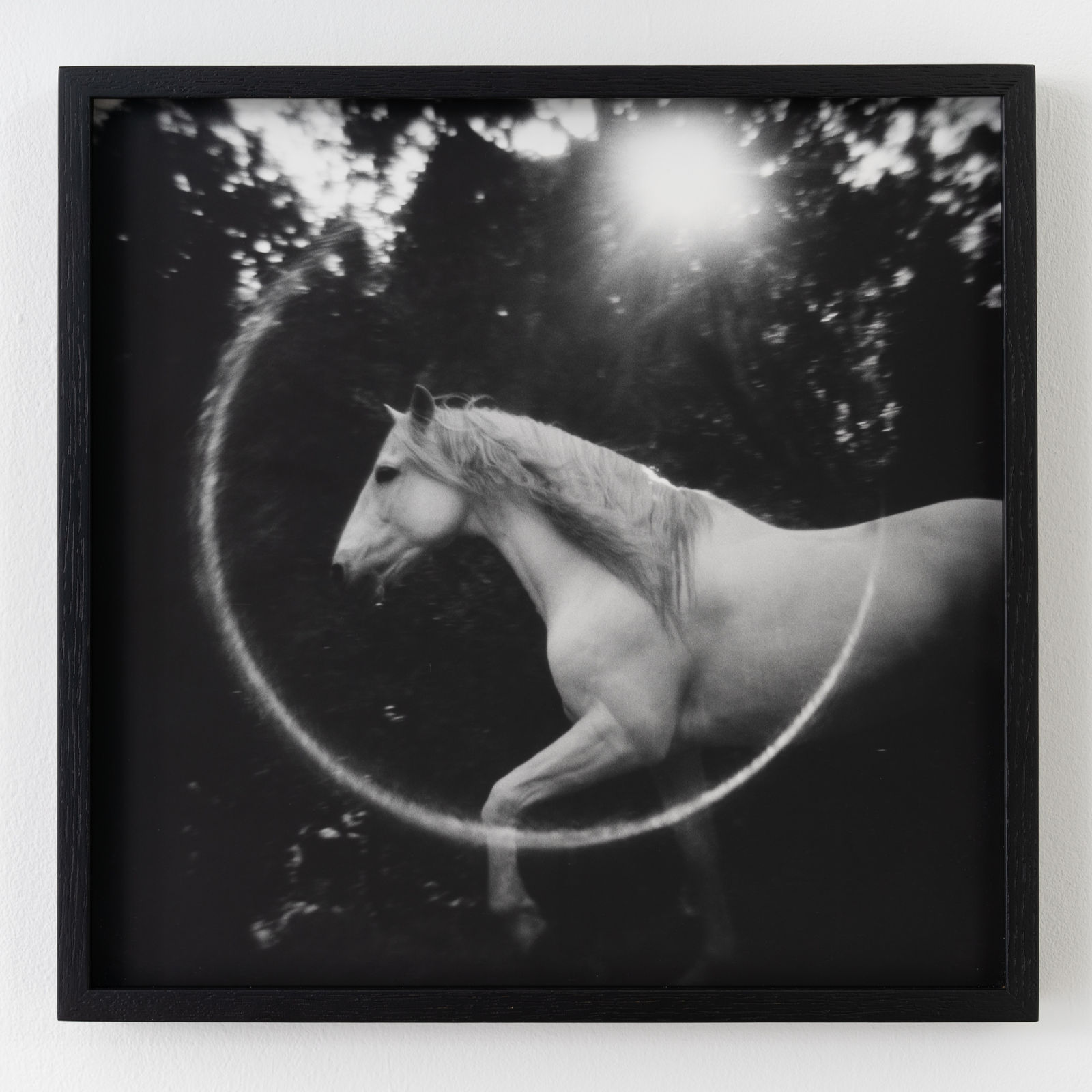 Lara Porzak, Flair, 2013