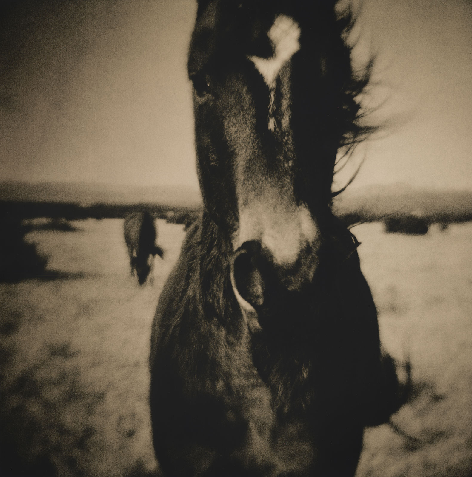 Lara Porzak, Morgan, 2014