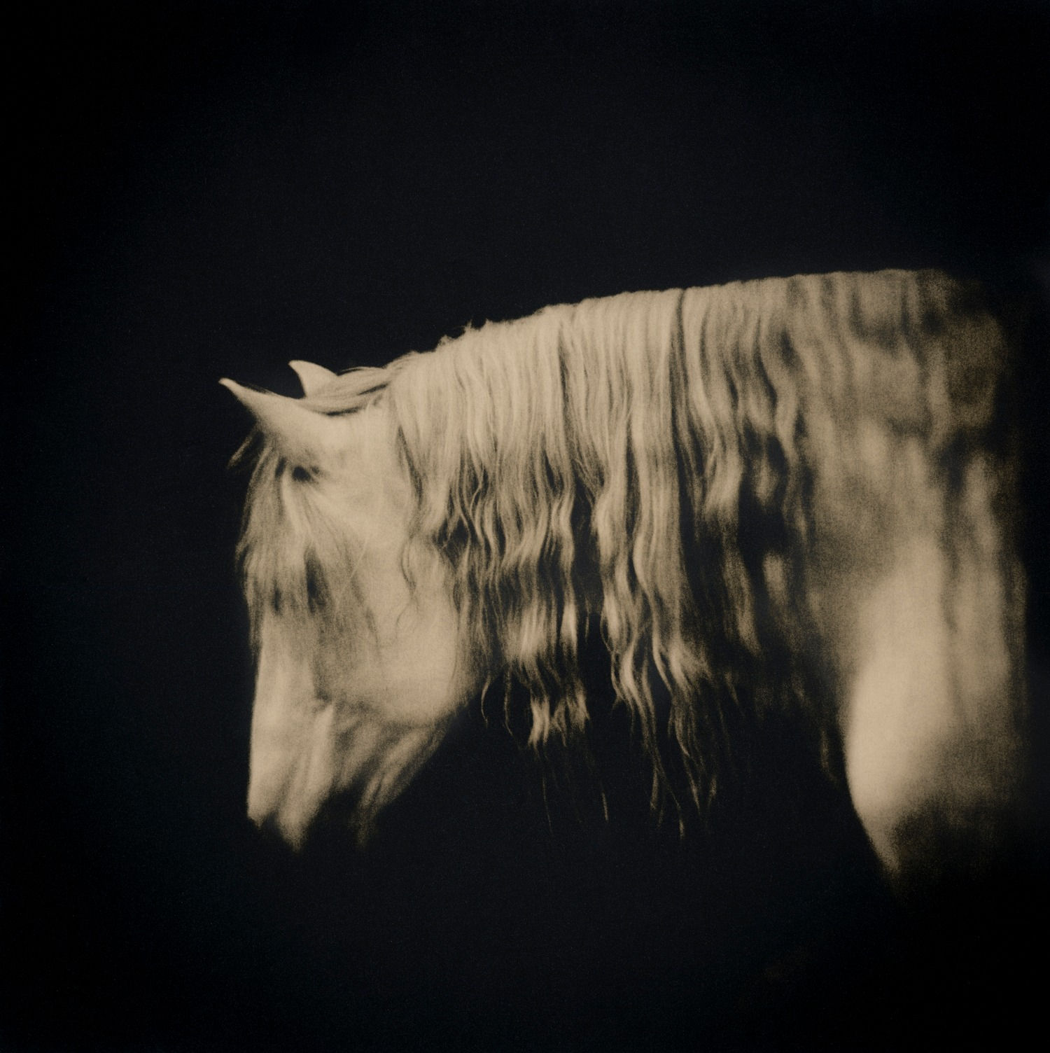 Lara Porzak, Carrera Winter, 2013