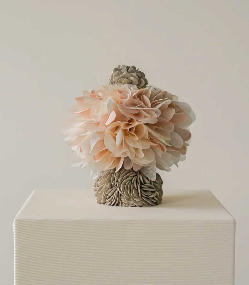 Hanna Heino, NEMORÉ IX, 2025